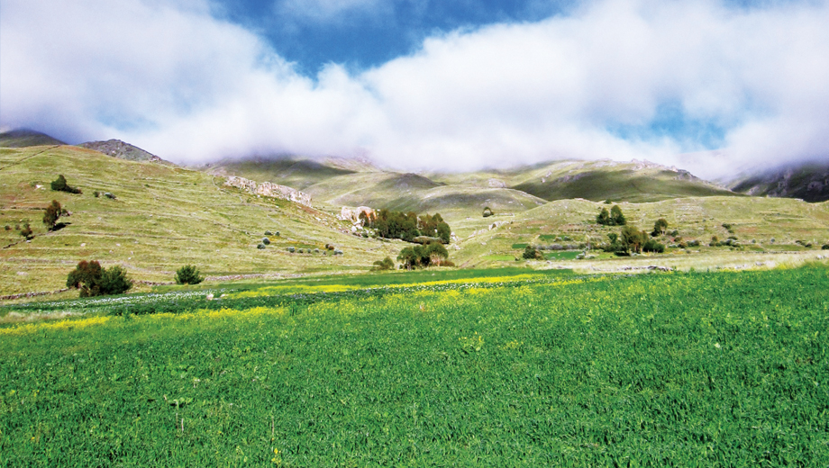 oil and gas environment